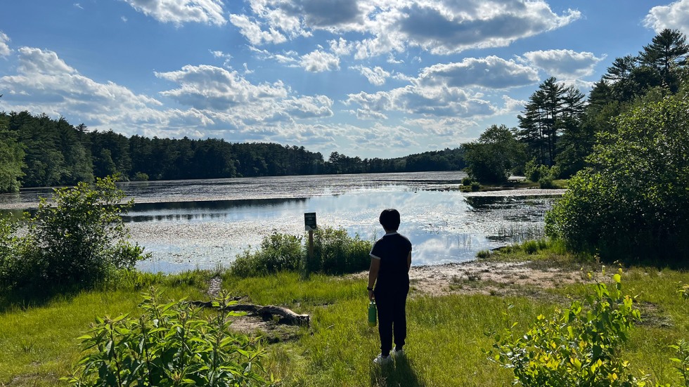 A student looks out at a pond in Rhode Island.