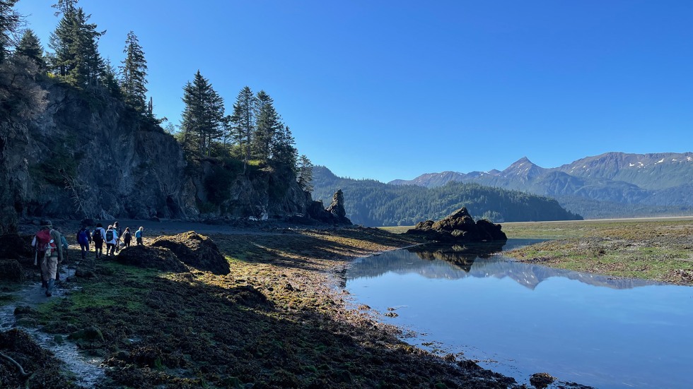 Alaskan landscape featuring water, pine trees and mountains