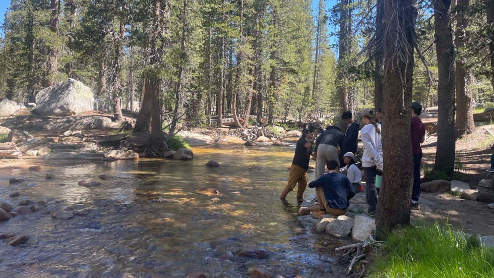 2023 BELL Eastern Sierras students studying in a stream 