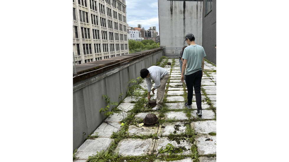 people planting on a rooftop garden