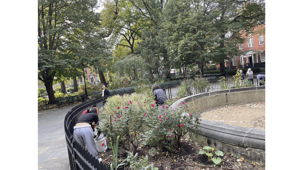 people planting a garden in a park