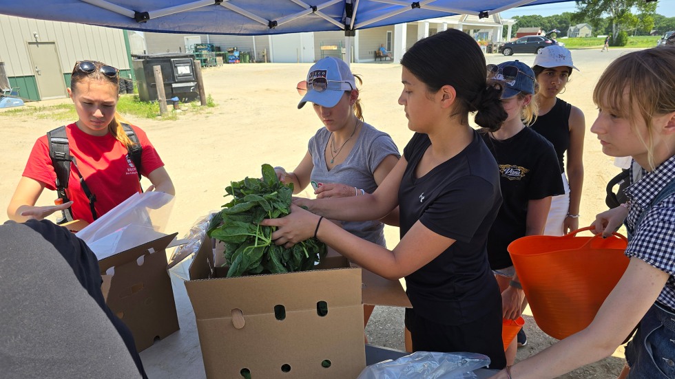 BELL RI students working with produce