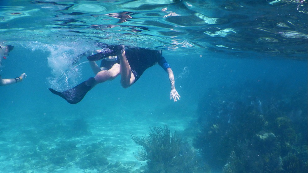 A person snorkeling in the ocean over coral reef and algae plants