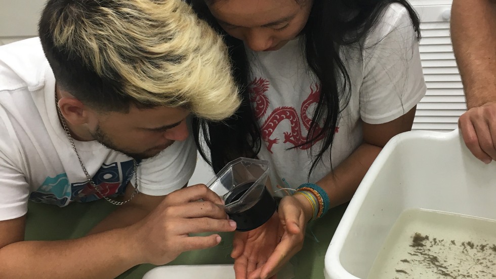 Students observing a specimen in a classroom