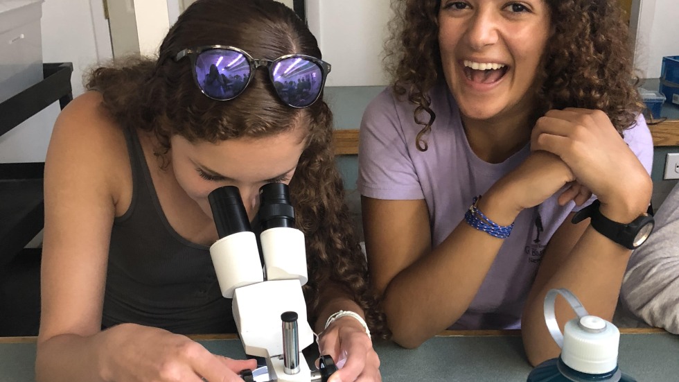 Students looking at a specimen under a microscope