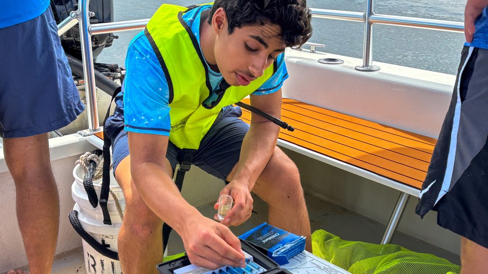 studying studying a sea specimen on a boat