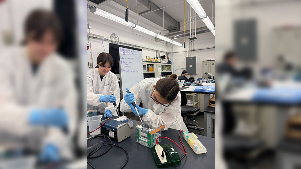 Students working in a science lab, wearing gloves and lab coats