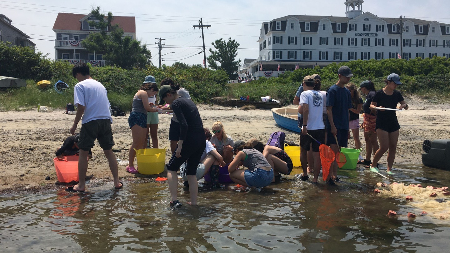 Brown Environmental Leadership Lab Rhode Island PreCollege Program
