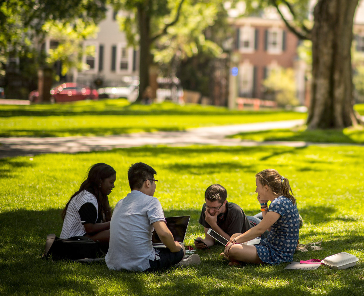 Students studying on the green.