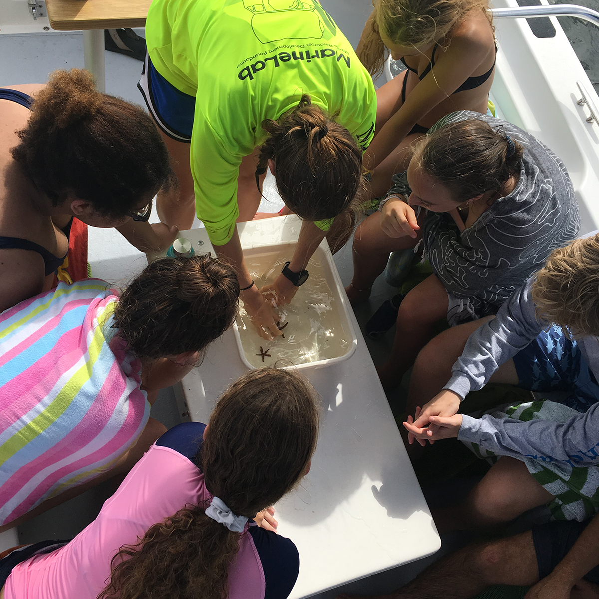 BELL Florida students observing marine life.